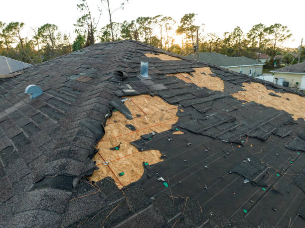 Best Skylights  in Gerber, CA